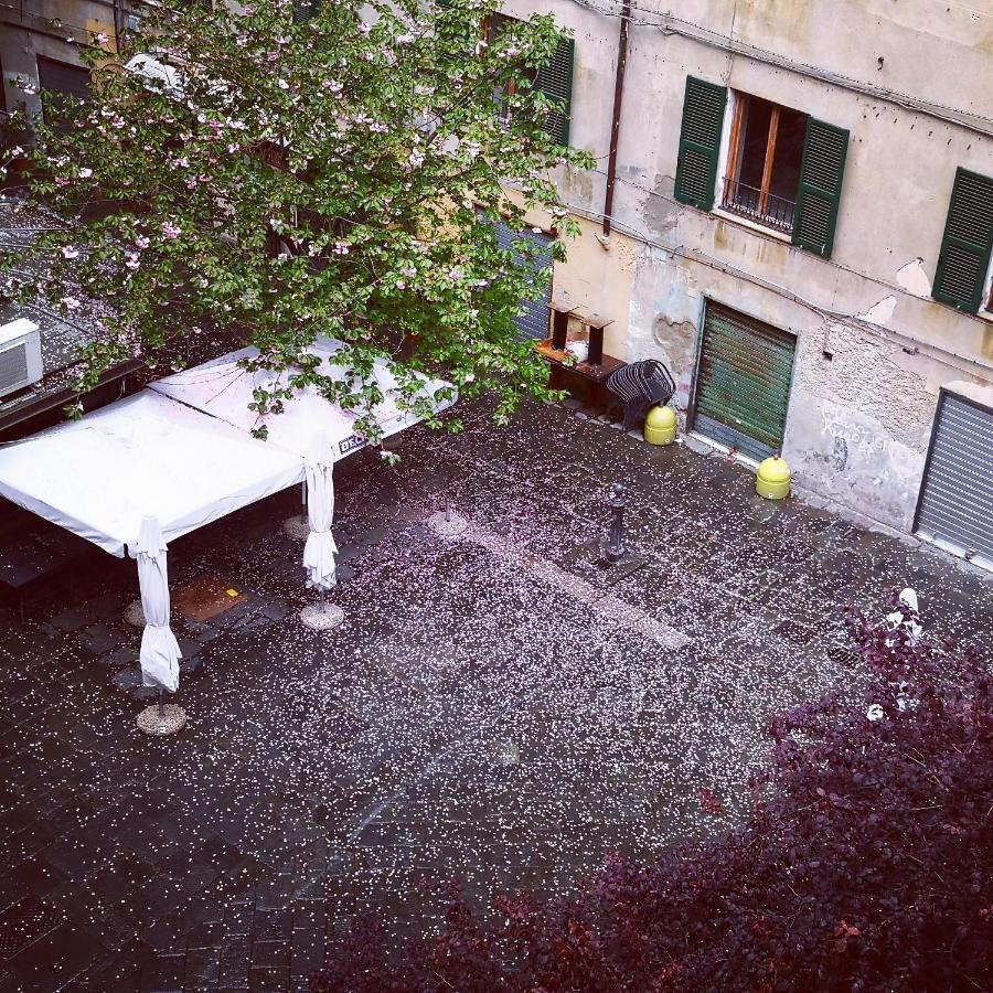 Lavagna Uno Bed & Breakfast Genoa Bagian luar foto